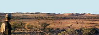 Near Finke River N.T. - 341k